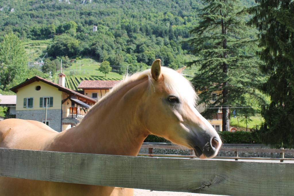 Country House Ramandolo Club Nimis Екстер'єр фото